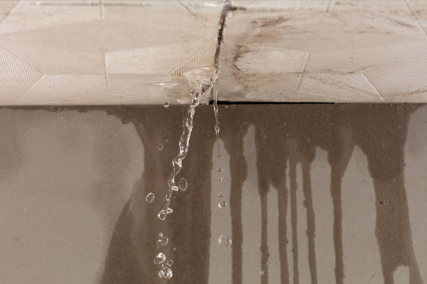 Professional Sewage Cleanup technician working in Luverne, AL